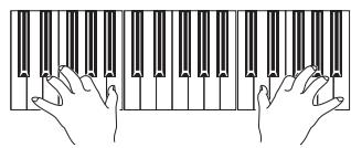 KORG PA588 - Jouez sur le clavier. - 1