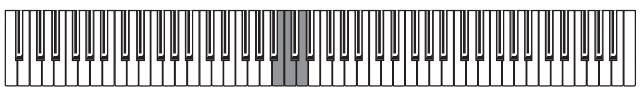 KORG SP250 - Regolazione del tocco - 2