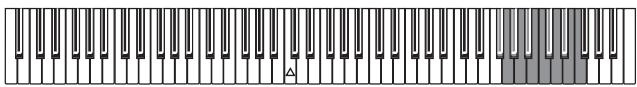 KORG SP250 - Fonction transpose - 2