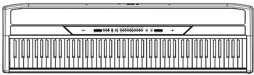 KORG SP250 - Collegamenti - 3