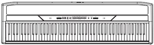 KORG SP250 - Anschlüsse - 3