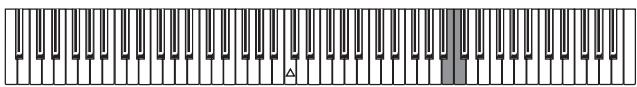 KORG SP250 - Fine tuning - 1