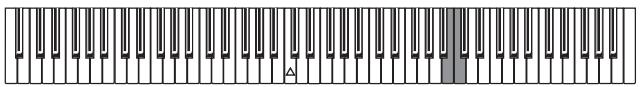 KORG SP250 - Intonazione fine - 1