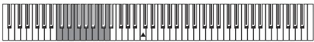 KORG SP250 - Übertragungskanal selektieren - 1