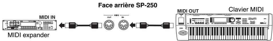 KORG SP250 - Connexions - 1