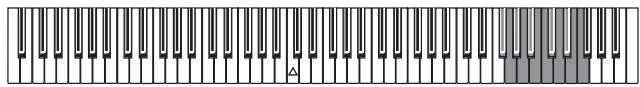 KORG SP250 - Transponierung - 2