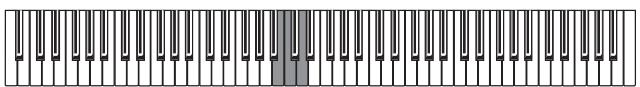 KORG SP250 - Touch settings - 2