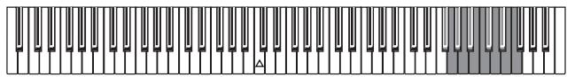 KORG SP250 - Trasposizione - 2