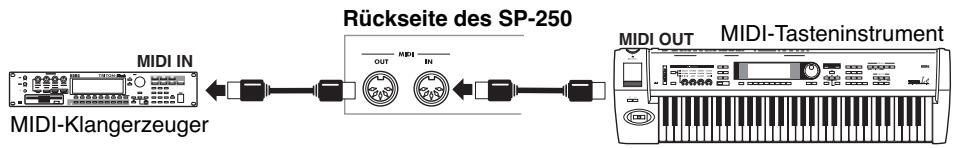 KORG SP250 - Anschlüsse - 1