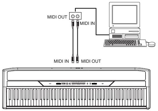 KORG SP250 - Connexions - 2