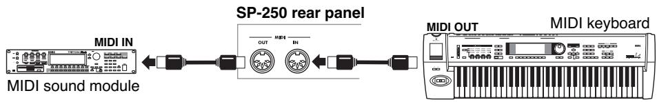 KORG SP250 - Connections - 1