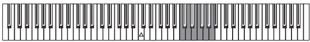 KORG SP250 - Le métronome - 2