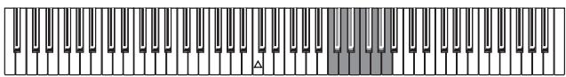 KORG SP250 - Das Metronom - 2