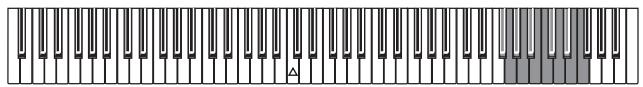 KORG SP250 - Transpose - 2