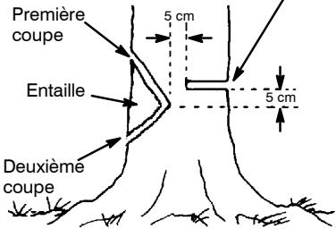 JONSERED CS 2138 S - TRAIT d'abattage et abattage de l'arbre - 1