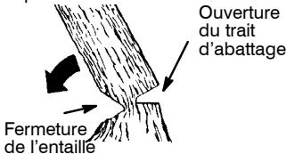 JONSERED CS 2138 S - TRAIT d'abattage et abattage de l'arbre - 2