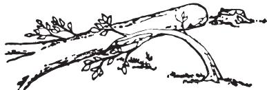 JONSERED CS 2159 WH - Basisveiligheidsregels - 2