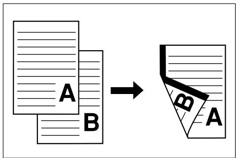 OLIVETTI D-COPIA 300 - Spécifications pouces - 1