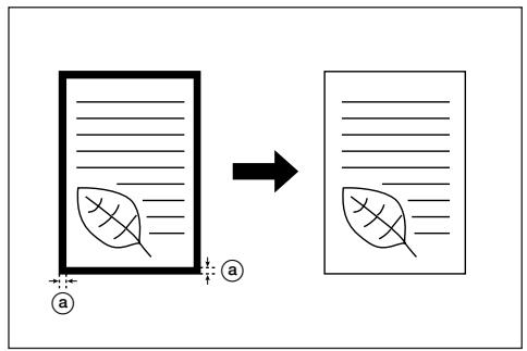 OLIVETTI D-COPIA 300 - Spécifications métriques - 1