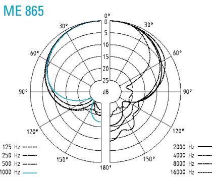 SENNHEISER EVOLUTION WIRELESS EW 300 - Microfoni - 2