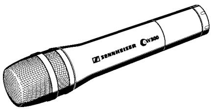 SENNHEISER EVOLUTION WIRELESS EW 300 - Sicherheitshinweise - 3