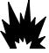 BRIGGS & STRATTON BRIGGS & STRATTON 110000 AND 120000 - WARNING - 1