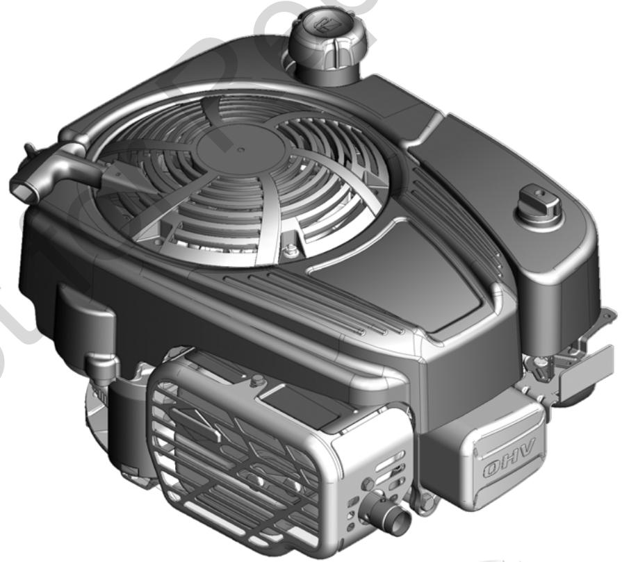 BRIGGS & STRATTON BRIGGS & STRATTON 110000 AND 120000 - 1