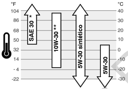 BRIGGS & STRATTON BRIGGS & STRATTON 110000 AND 120000 - Recomendações sobre o oleo - 1