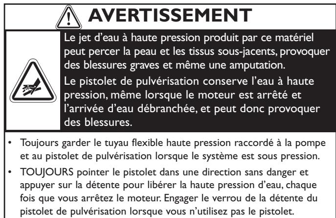 BRIGGS & STRATTON BRIGGS & STRATTON 2700 PSI - Nettoyage du tuyau de siphonnage de détergent - 1