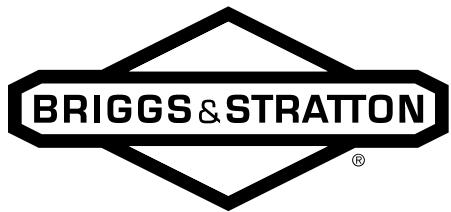 BRIGGS & STRATTON BRIGGS & STRATTON 150000 - Informations concernant la puissance théorique du moteur - 1