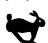 BRIGGS & STRATTON BRIGGS & STRATTON 150000 - Avertissement - 1