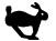 BRIGGS & STRATTON BRIGGS & STRATTON 432447 - WAARSCHUWING - 1