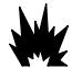 BRIGGS & STRATTON BRIGGS & STRATTON 432447 - AVISO - 2