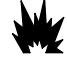 BRIGGS & STRATTON BRIGGS & STRATTON 541400 - WARNING - 1