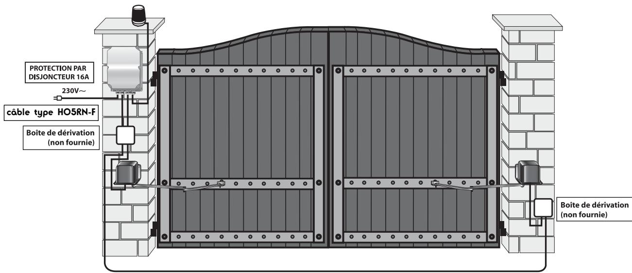 AVIDSEN ASTRELL 120 - BRANCHEMENTS ÉLECTRIQUES - 1