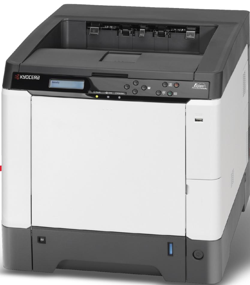 KYOCERA FS-C5250DN - 1