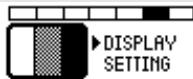 MEDION BDA80801 - DISPLAY SETTING - 1