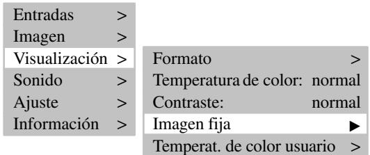 MEDION 42 PLASMA DISPLAY MD 41842 - IMAGEN FIJA - 1