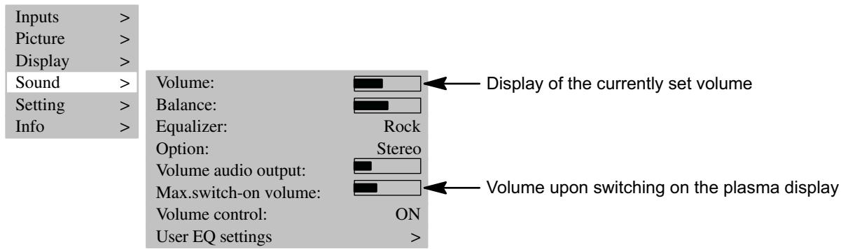 MEDION 42 PLASMA DISPLAY MD 41842 - Setting the volume - 1