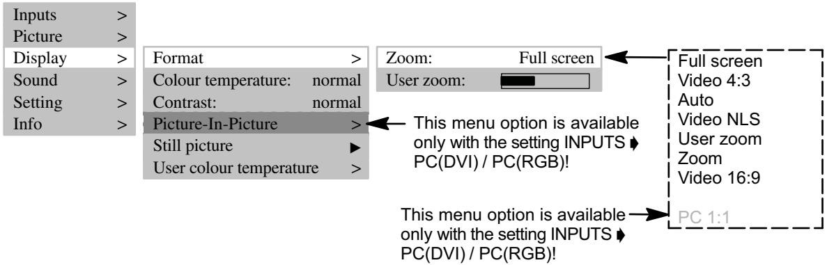 MEDION 42 PLASMA DISPLAY MD 41842 - PICTURE FORMAT - 1