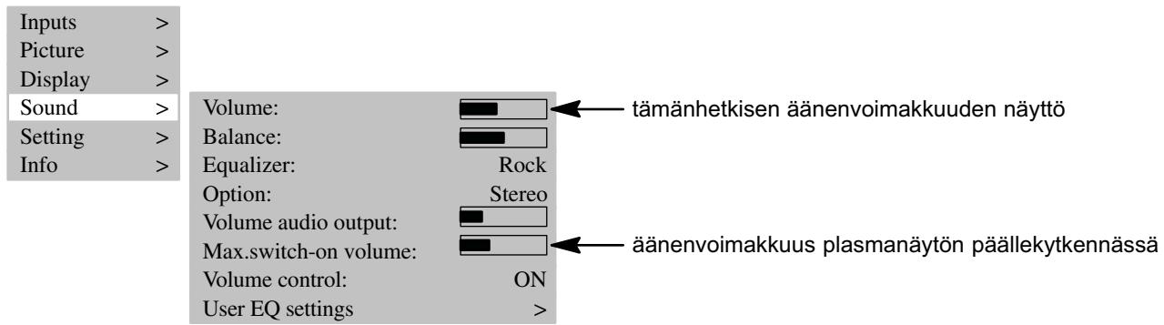 MEDION 42 PLASMA DISPLAY MD 41842 - Aänen säätö - 1