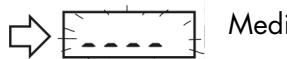 MEDION BODY FAT SCALE MM 10672 - Efectuar la medicación - 3