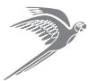 PARROT DRIVER HEADSET - 2