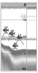 HUMMINBIRD 947C - FENÉTRE SONAR EN TEMPS RÉEL (RTS) - 1