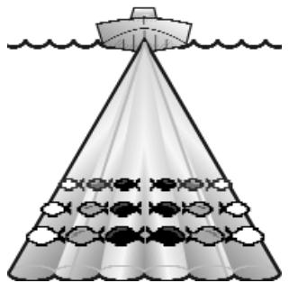HUMMINBIRD 947C - IDENTIFICATION DE POISSON (FISH ID+) - 1