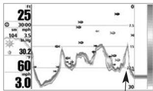 HUMMINBIRD 947C - COURBES BATHYMÉTRIQUES - 1