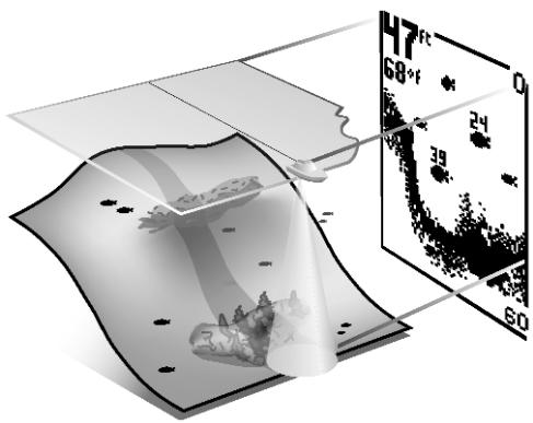HUMMINBIRD PIRANHAMAX 15 - Technologie du sonar PiranhaMax - 1
