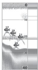 HUMMINBIRD 957C - Fenêtre sonar en temps réel (RTS) - 1