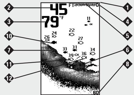 HUMMINBIRD PIRANHAMAX 215 - Representations à l'écran - 2