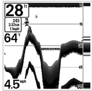 HUMMINBIRD GPS 737 - Représentation du fond - 2